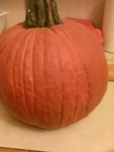 Nice dark pumpkin.